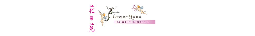 FLOWERLAND FLORIST & GIFTS