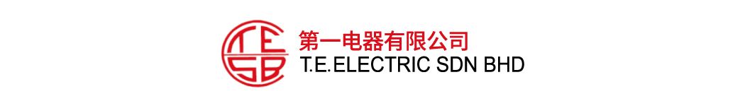 T.E. Electric Sdn Bhd