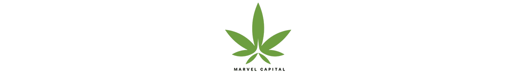 Marvel Capital Sdn Bhd