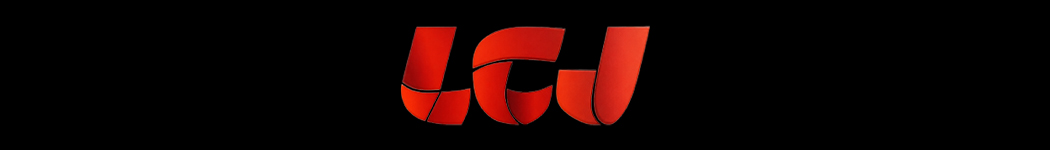 LCJ Ceiling & Renovation