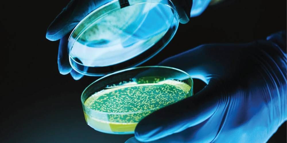 Microbiological Testing