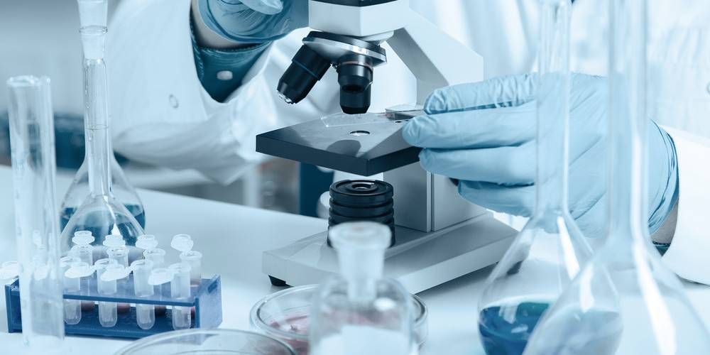 Research & Development Support