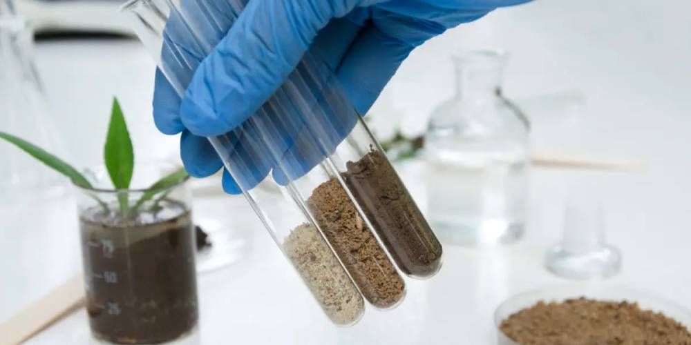 Fertilizer & Soil Testing