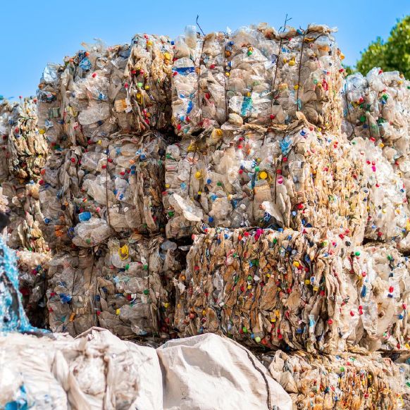 Waste Disposal & Collection