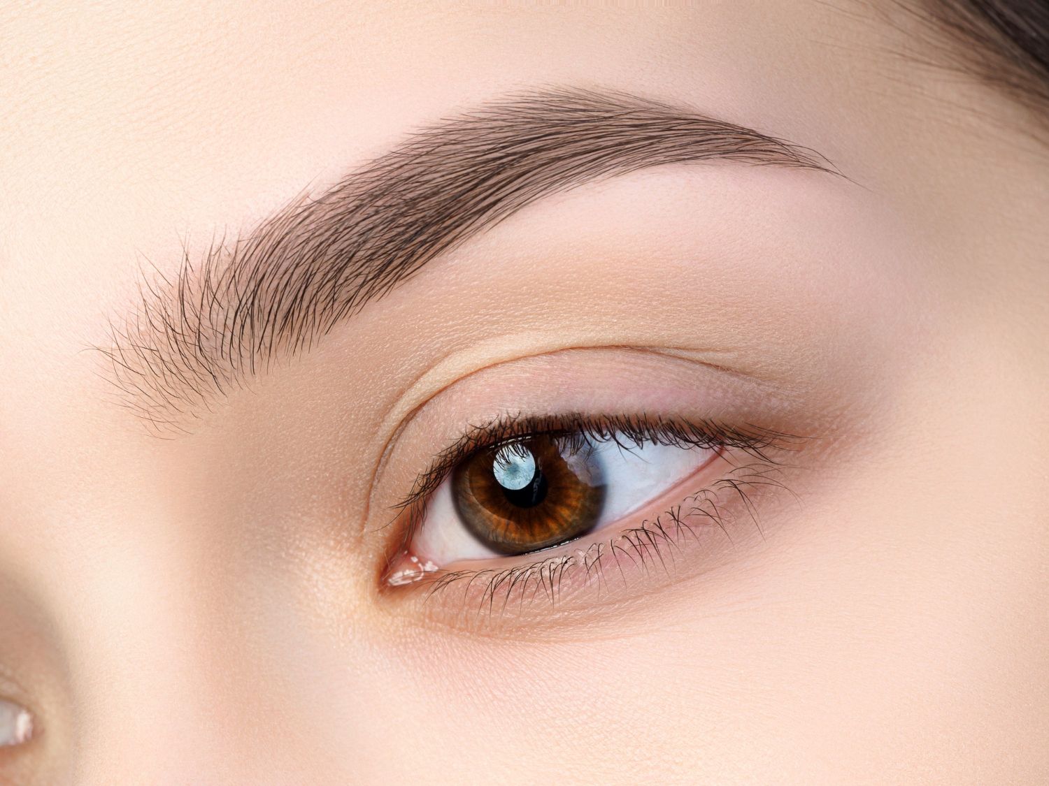 Mist Brow