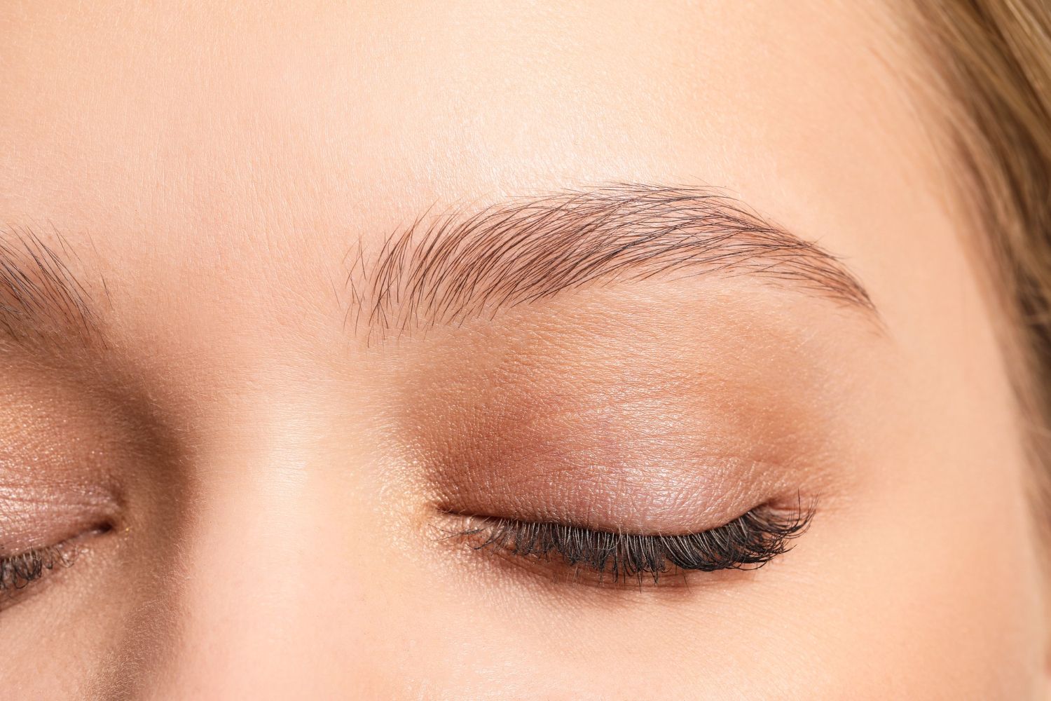 Wild Brow