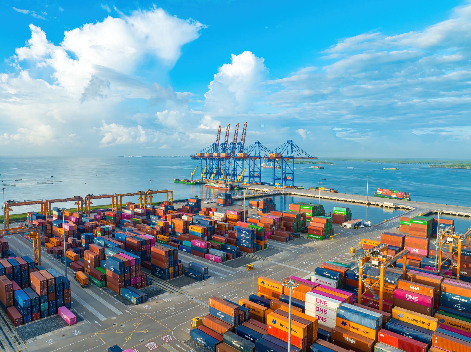 Import & Export