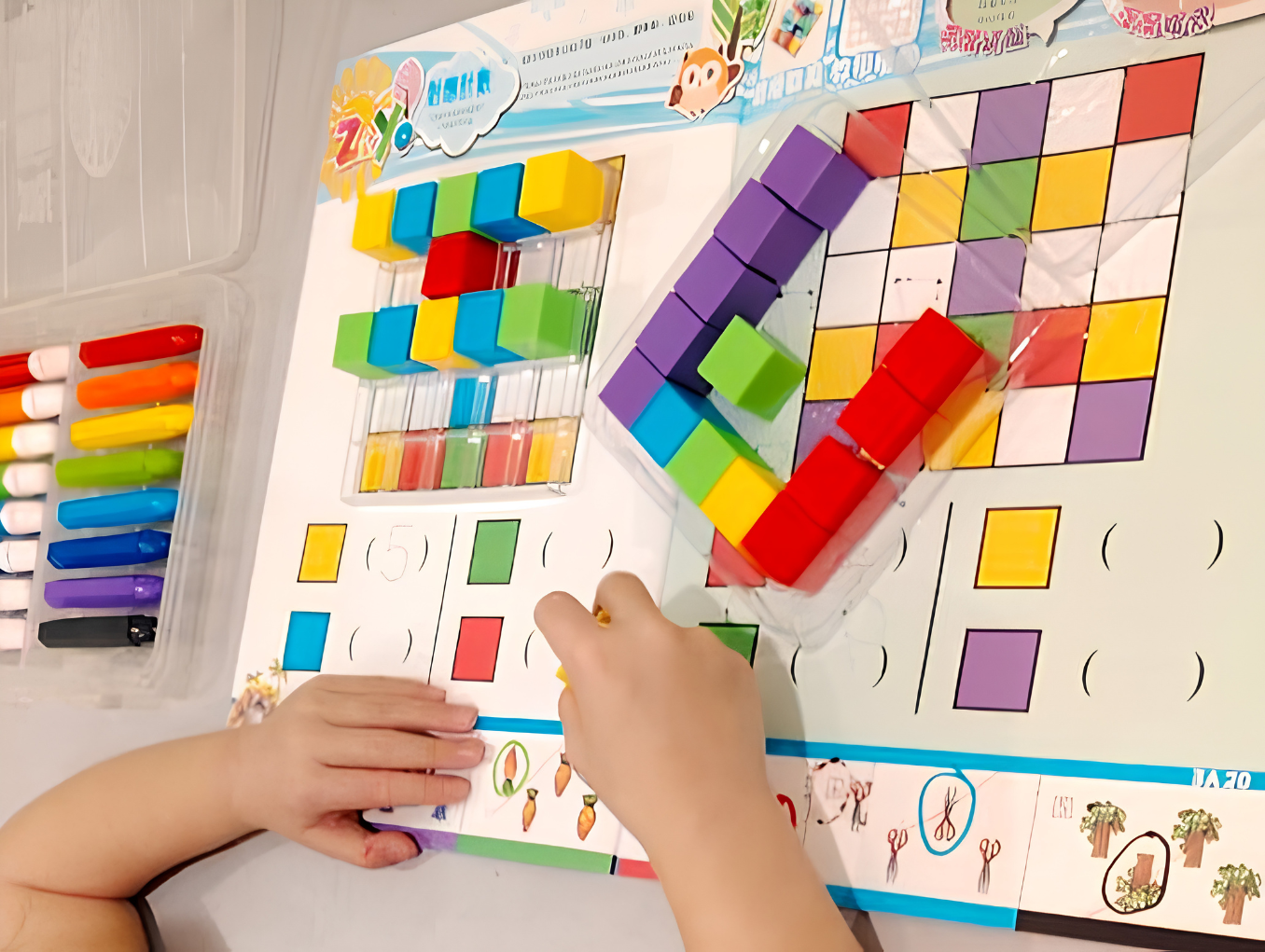 Logical Thinking Programmes