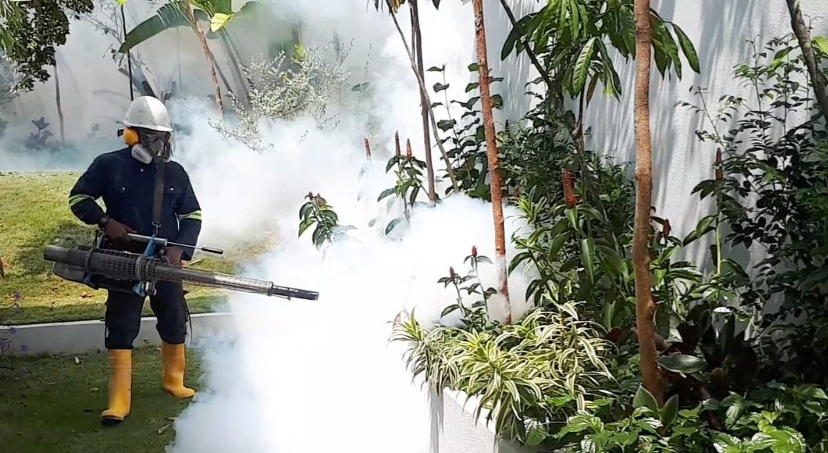 Mosquito Control