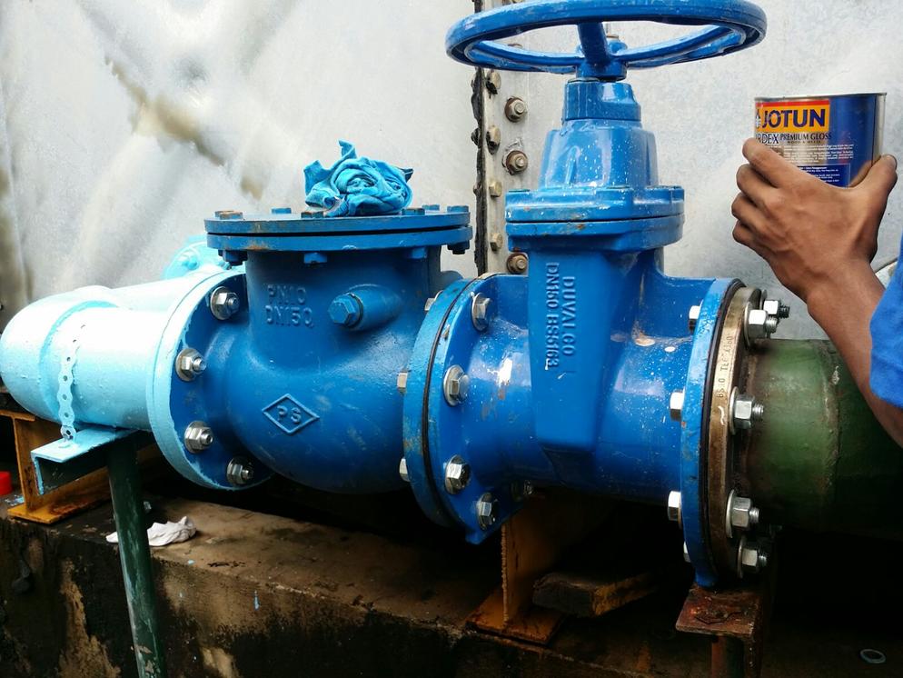 Should Fixing Repair Gate Valve Leaking? Yes. Call Now