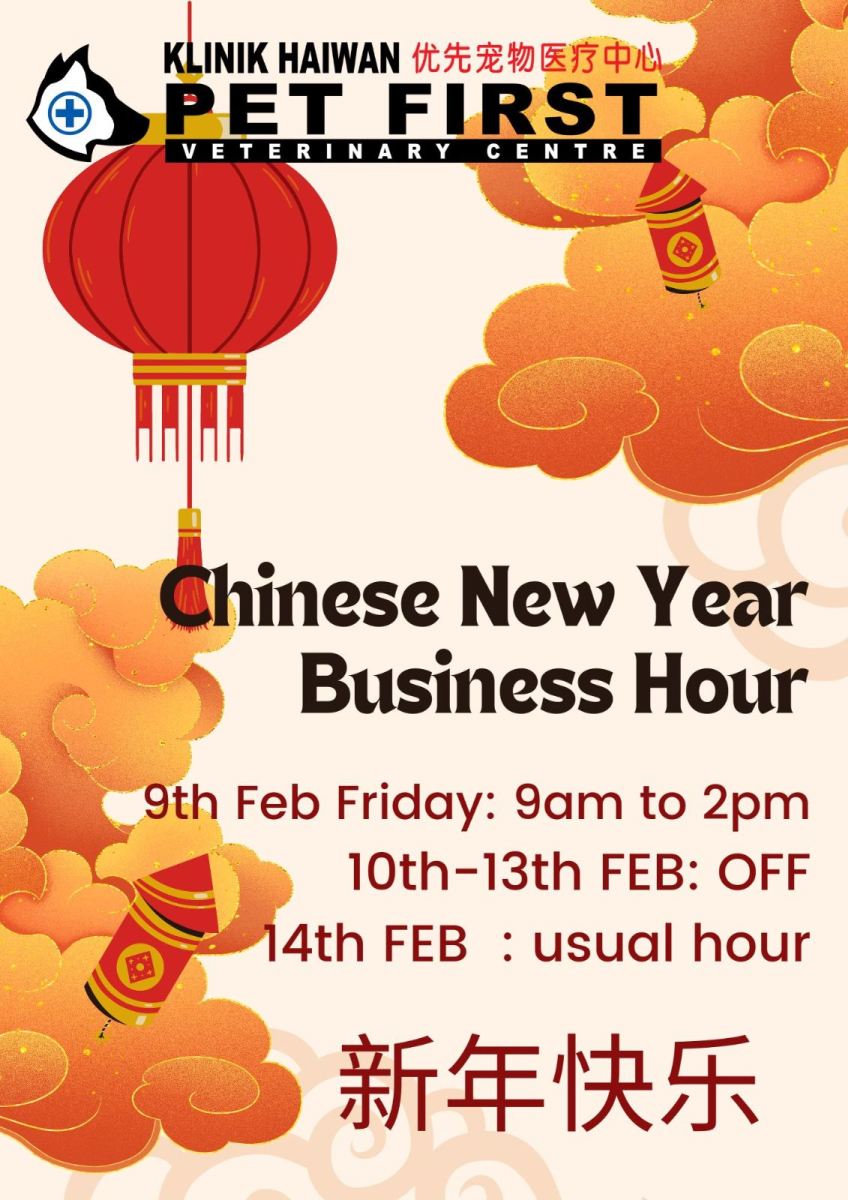 Operating Hour During Chinese New Year