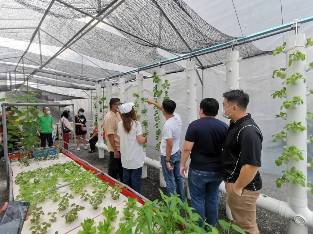 Regaltechs Aquaponics Farm visited by Members of Parliament and Others