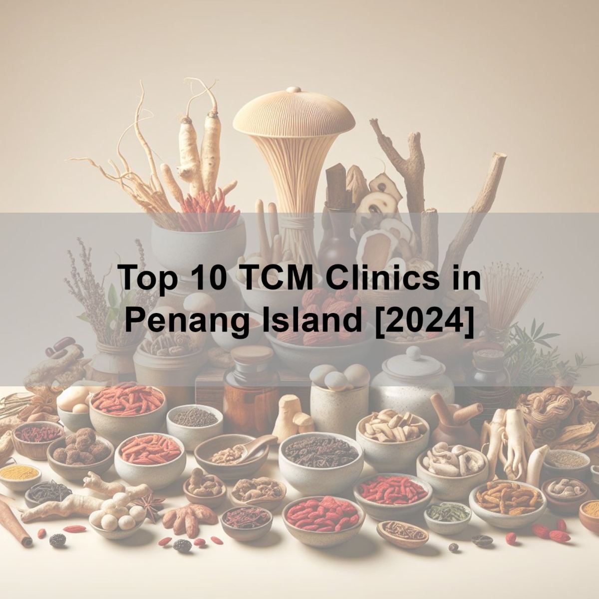 Top 10 TCM Clinics in Penang Island [2024]