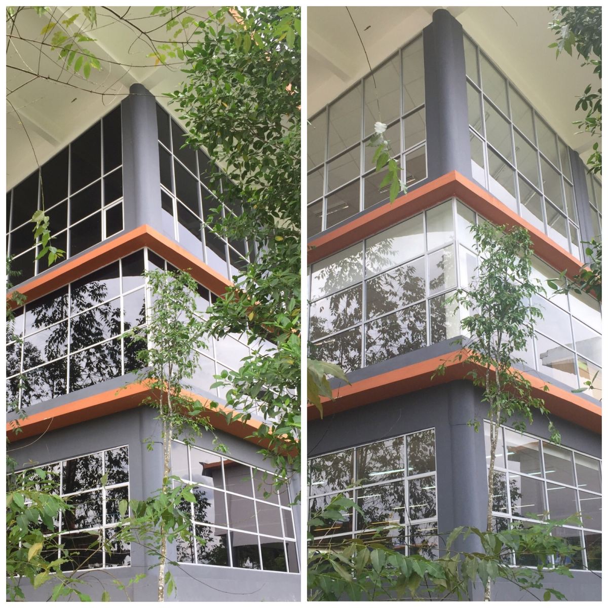 Pasang Window Tinted Film At Perpustakaan Sekolah