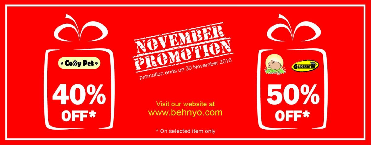 November Promotion