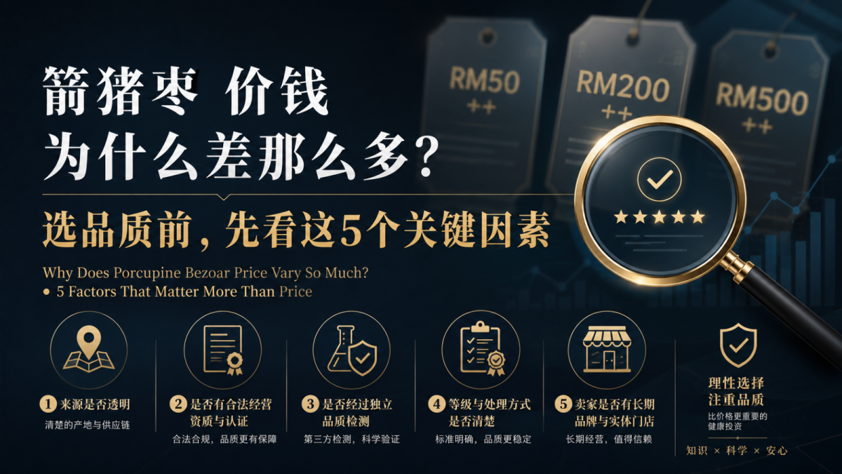 Why Does Porcupine Bezoar Price Vary So Much? 5 Factors That Matter More Than Price