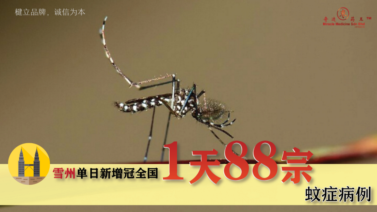 1 天88宗蚊症病例，雪兰莪单日新增冠全国！