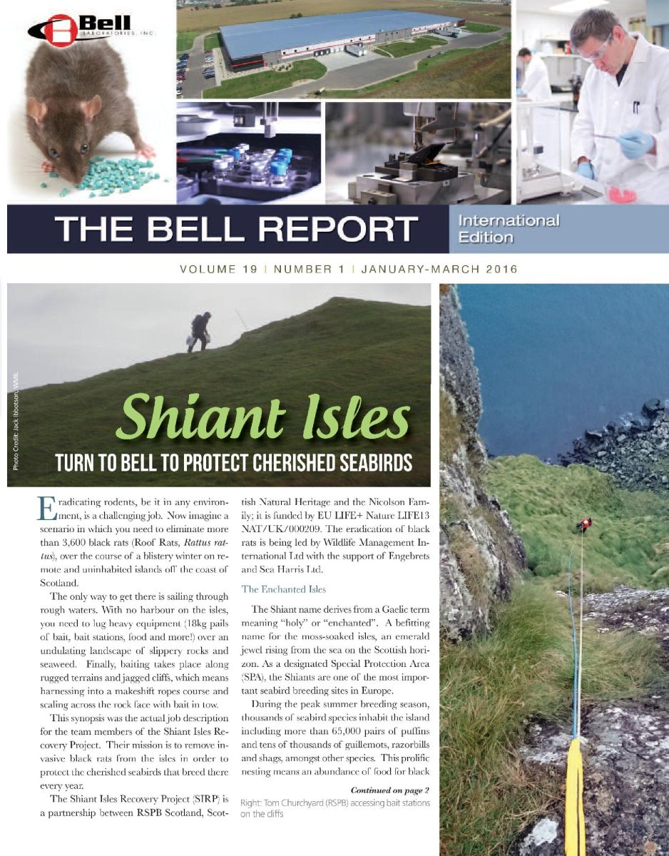 THE BELL REPORT: SHIANT ISLES TURN TO BELL TO PROTECT CHERISHED SEABIRDS