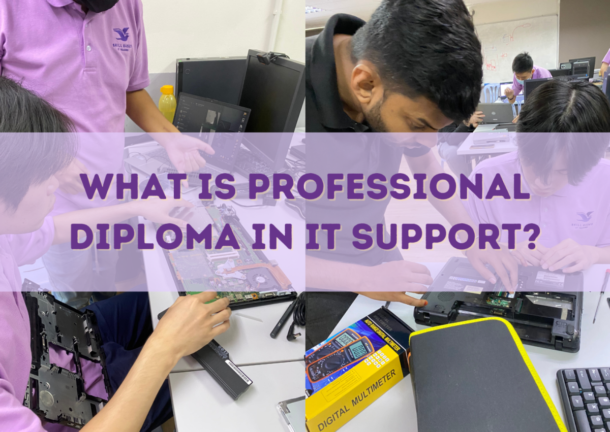 What is Professional Diploma in IT Support?