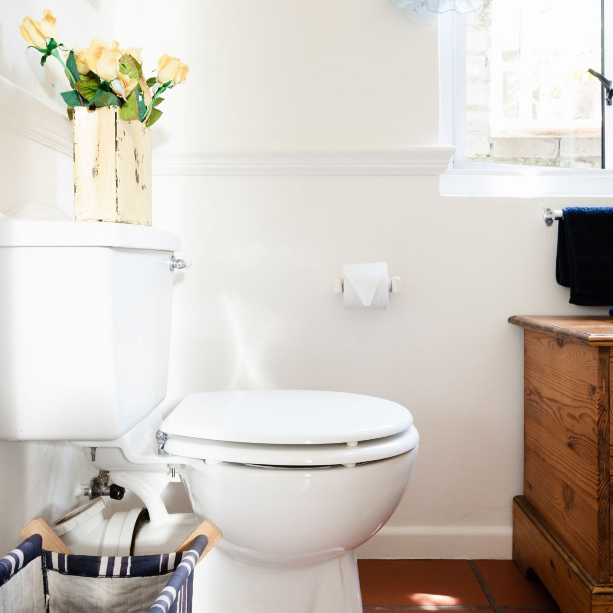 Common Toilet Problems You Can Fix Yourself
