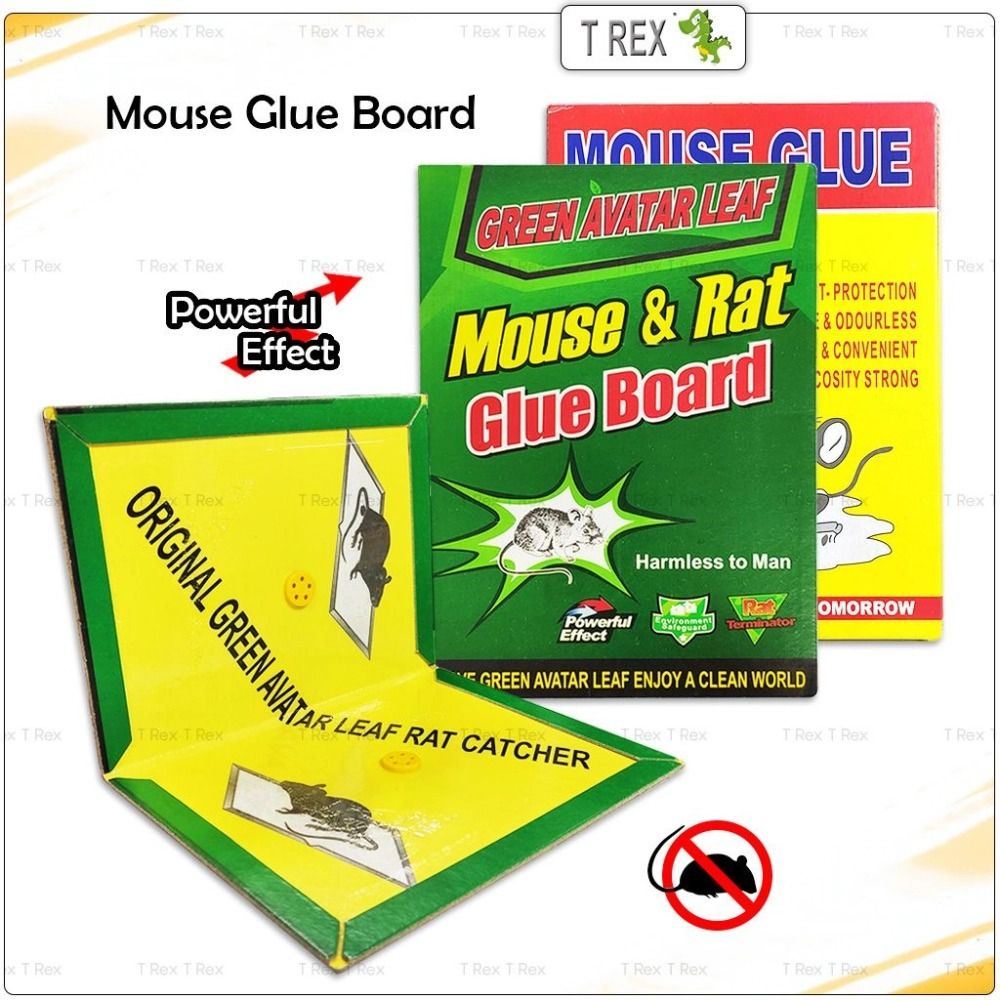 New item : Mouse & Rat Glue Board