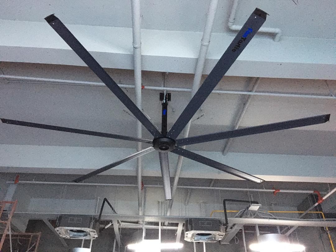 Industrial Fan vs Normal Fan: Why Industrial Fans Are Essential for Modern Factories and Warehouses