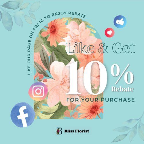 Like our page on FB/ IG & show it to us to enjoy a 10% rebate for your purchase. T&C applies.