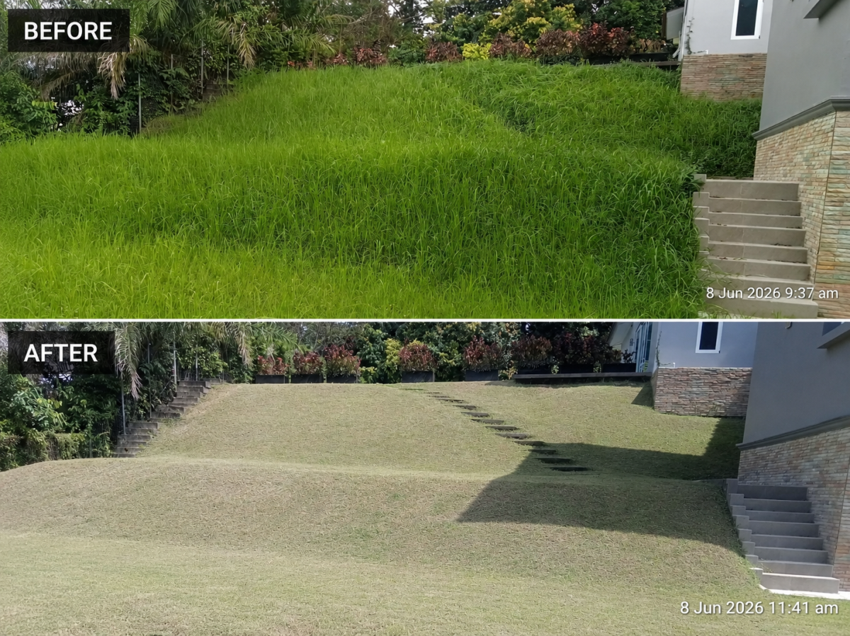 Lawn Maintenance Service - East Ledang, Johor Bahru