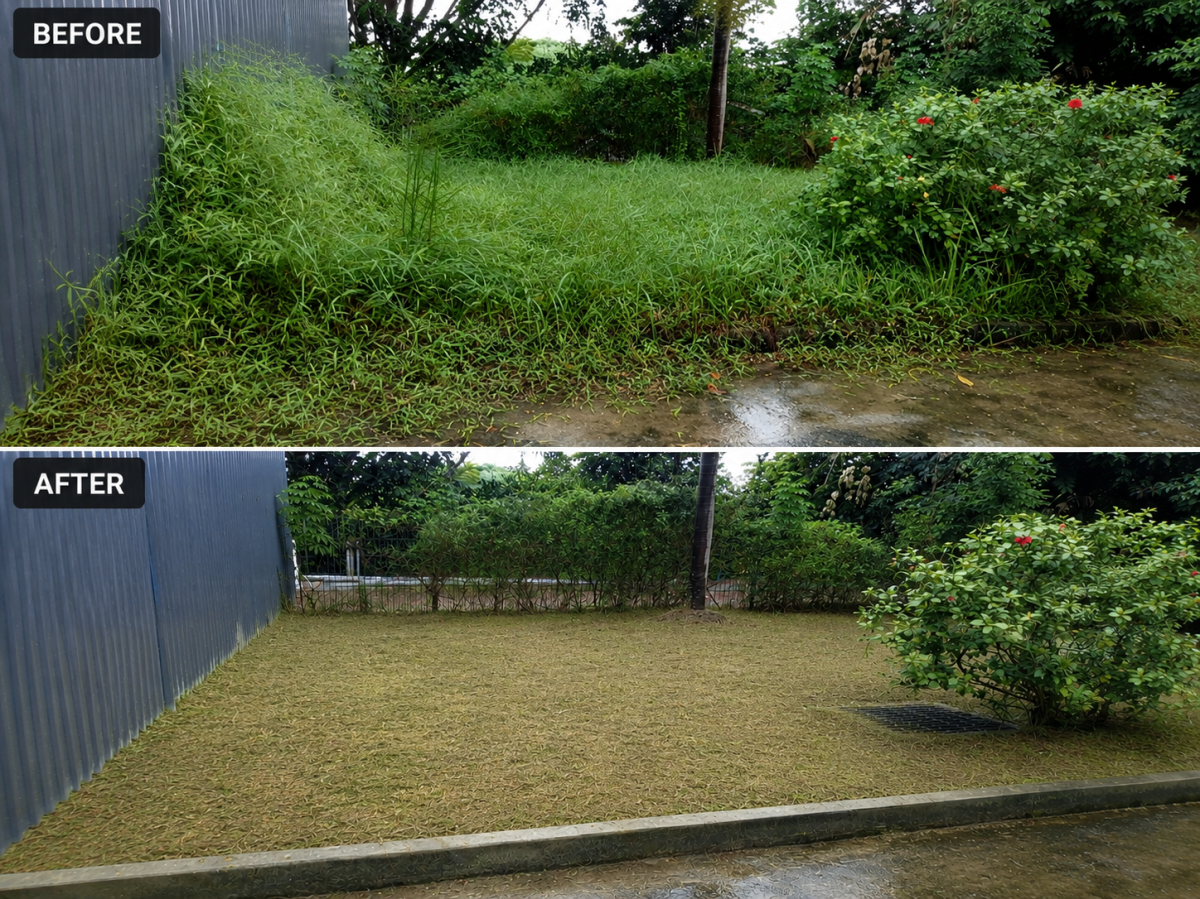 Lawn Maintenance Service - SILC Gelang Patah, Johor Bahru