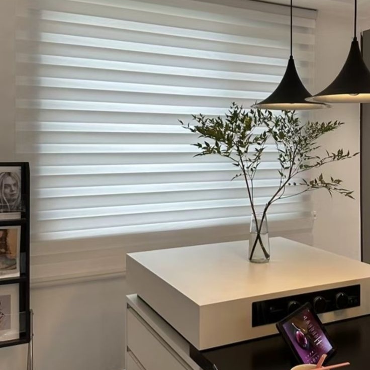 Why Zebra Blinds Are a Popular Choice for Modern Homes