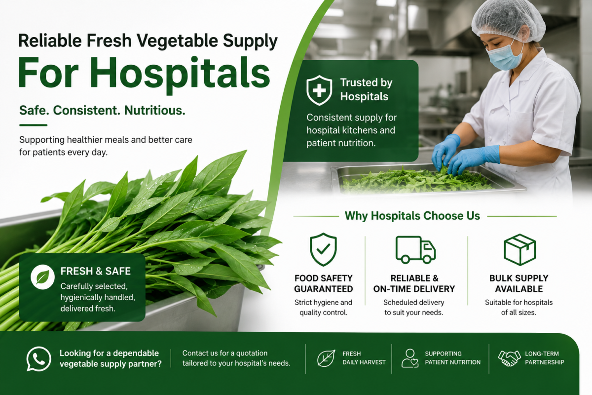 Fresh Kangkung Supplier Malaysia �� Bulk Water Spinach Supply For Hospitals
