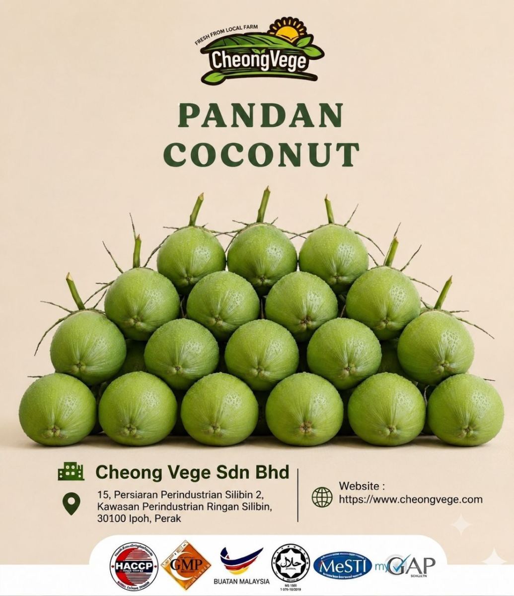 �e Reliable Kelapa Pandan Supply for Beverage & Food Businesses 