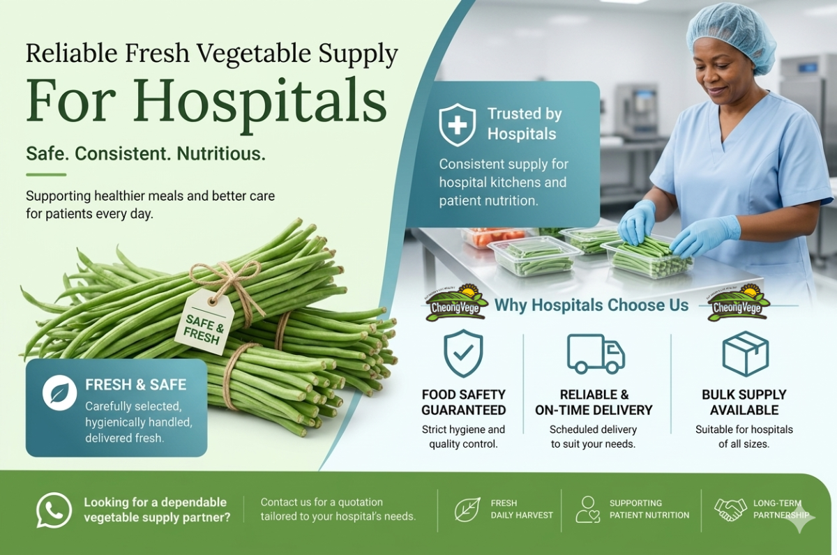 Trusted Fresh Long Bean Supplier For Hospitals & Healthcare Facilities