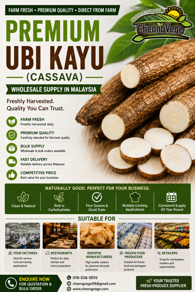 Premium Ubi Kayu (Cassava) Supplier Malaysia | Fresh Harvested & Wholesale Supply