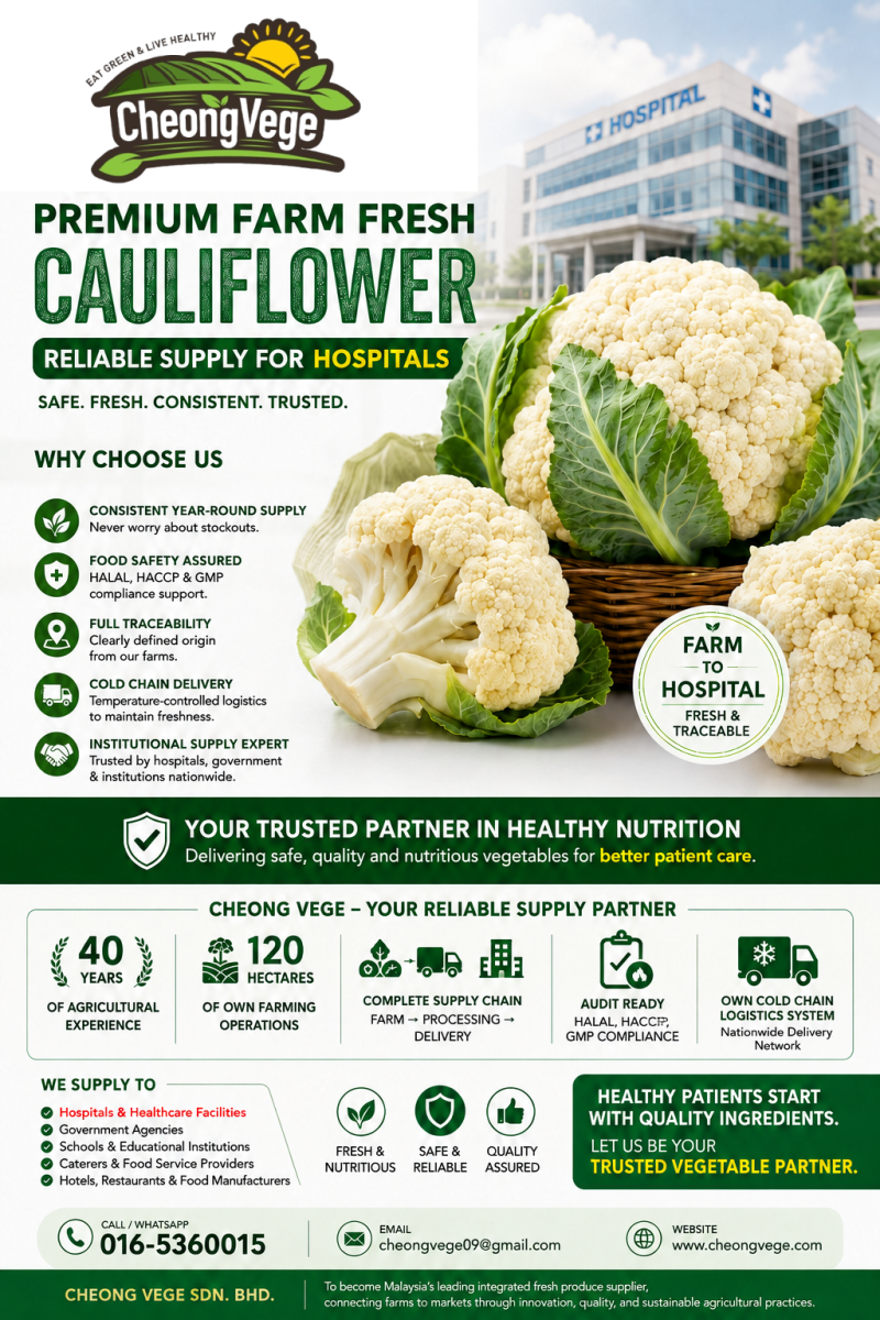 Premium Fresh Cauliflower Supplier for Hospitals in Malaysia | Reliable Hospital Vegetable Supply by Cheong Vege