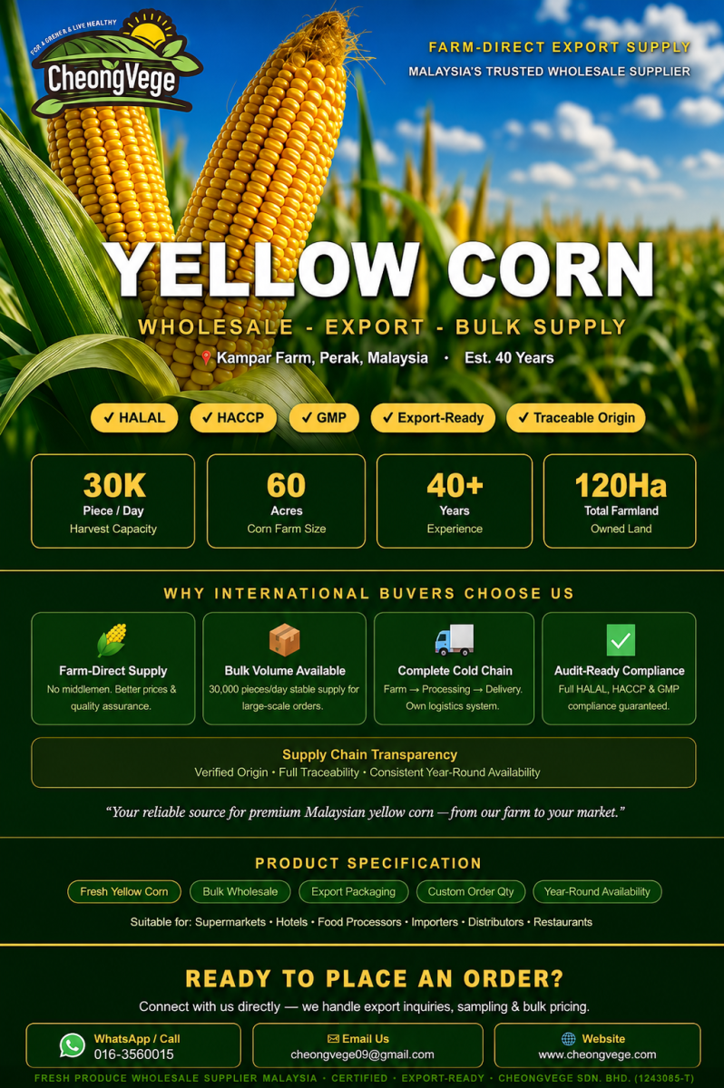Reliable Fresh Yellow Corn Supply �� Farm Direct, Certified, Export-Ready