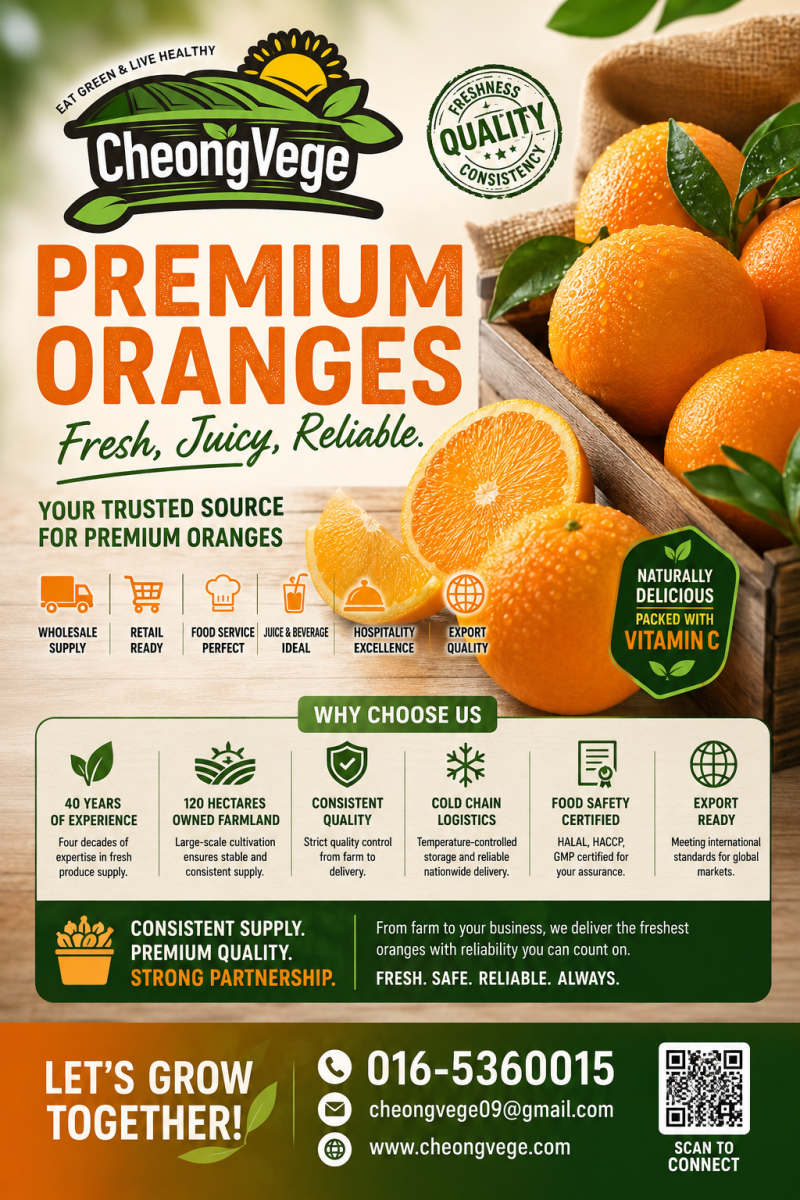 Premium Oranges Malaysia | Fresh Orange Wholesale & Export Supplier | Cheong Vege