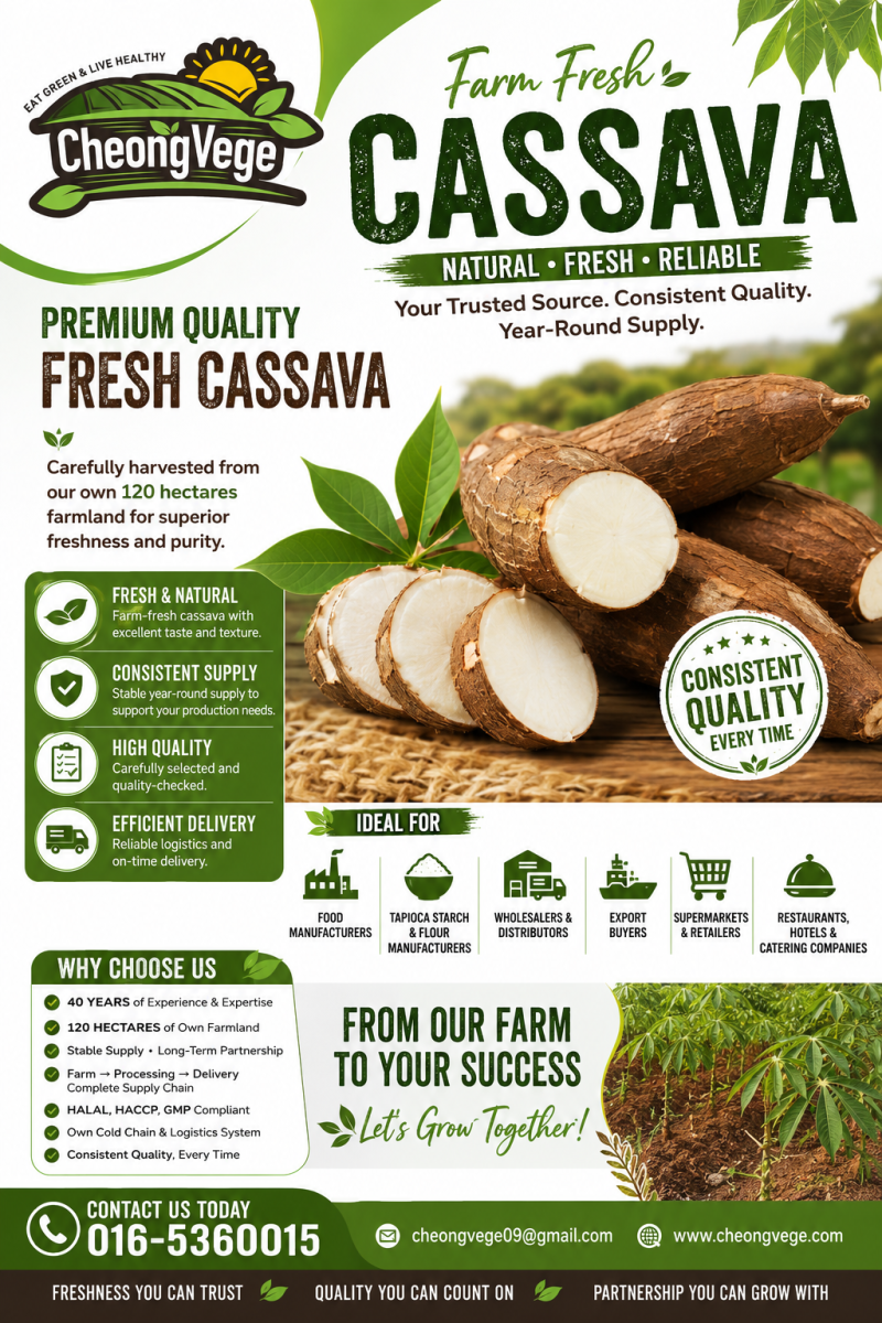 Fresh Cassava Malaysia | Supplier for Food Manufacturers, Tapioca Processors & Export Buyers | Cheong Vege