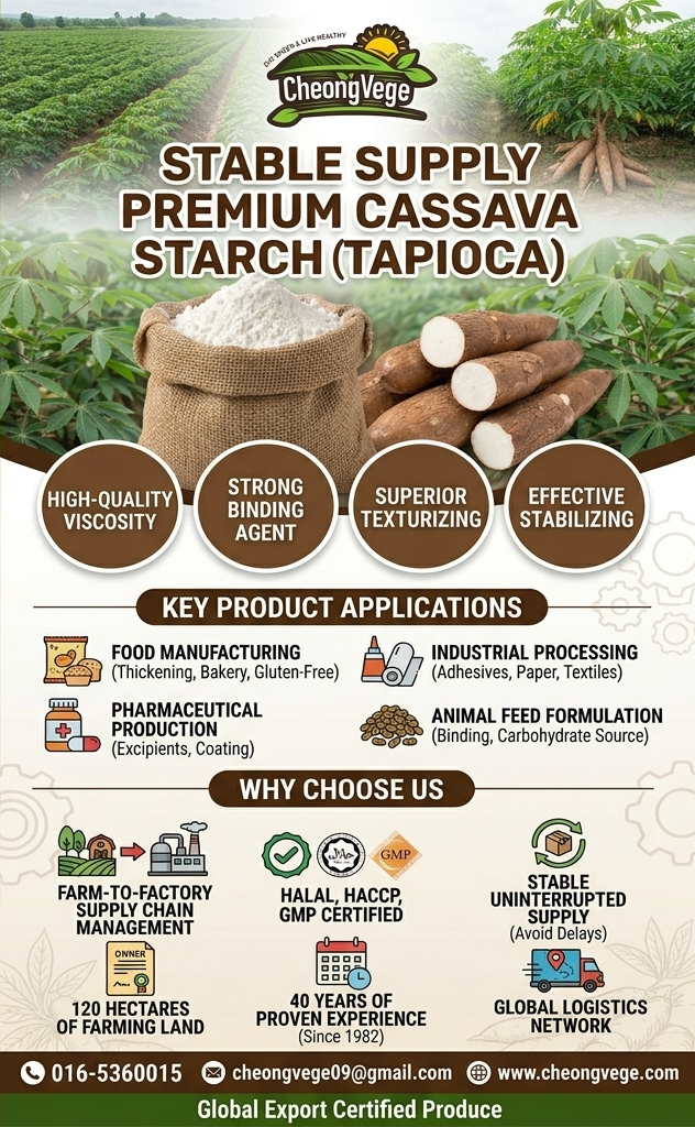 Cassava Starch Malaysia | Tapioca Starch Supplier for Food, Industrial & Pharmaceutical Use | Cheong Vege