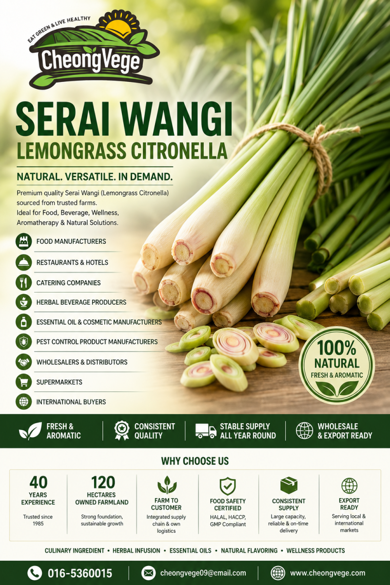 Serai Wangi Malaysia | Lemongrass Citronella Supplier for Food, Essential Oil & Export Buyers | Cheong Vege