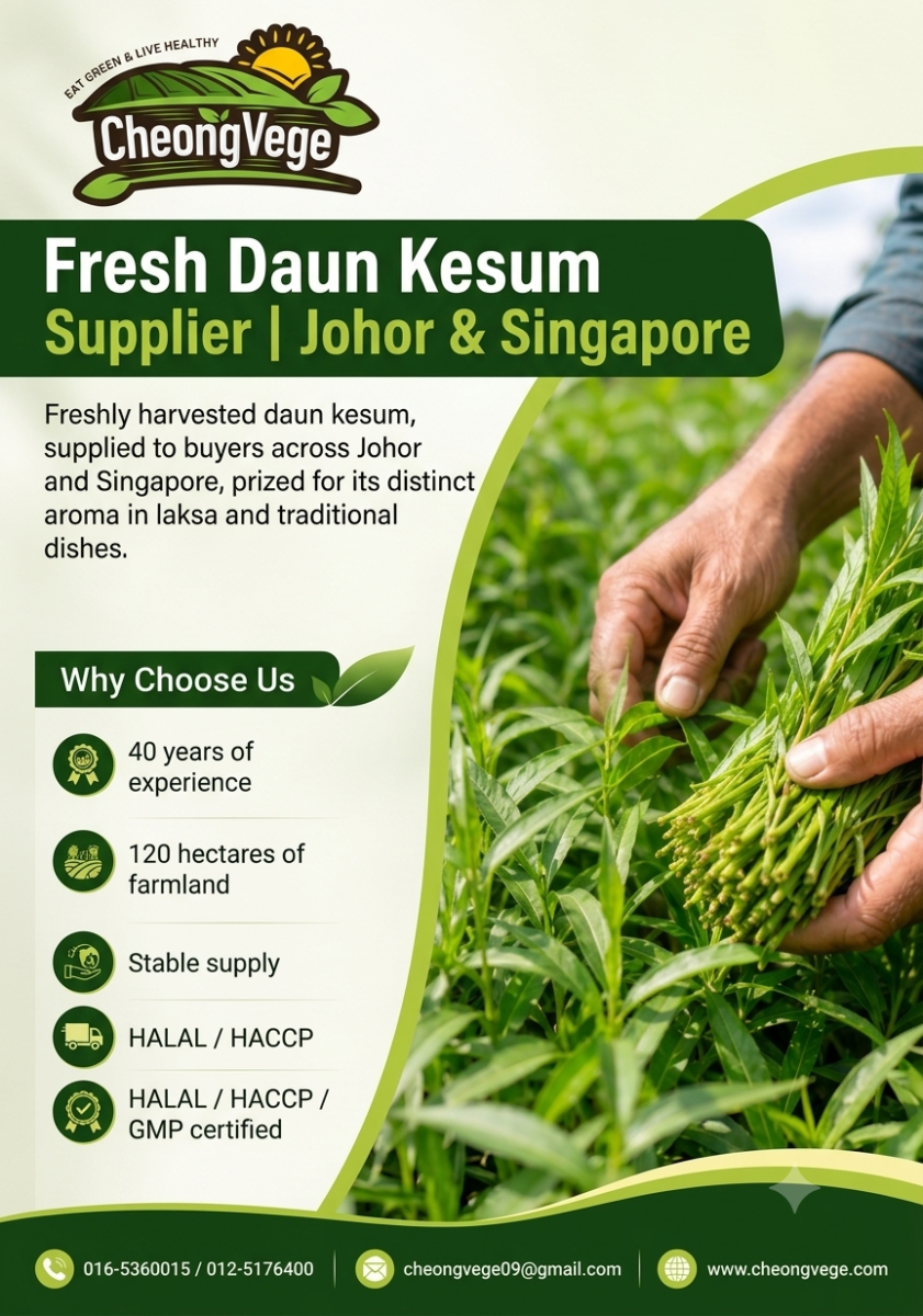 Fresh Daun Kesum Supplier Johor & Singapore | Cheong Vege