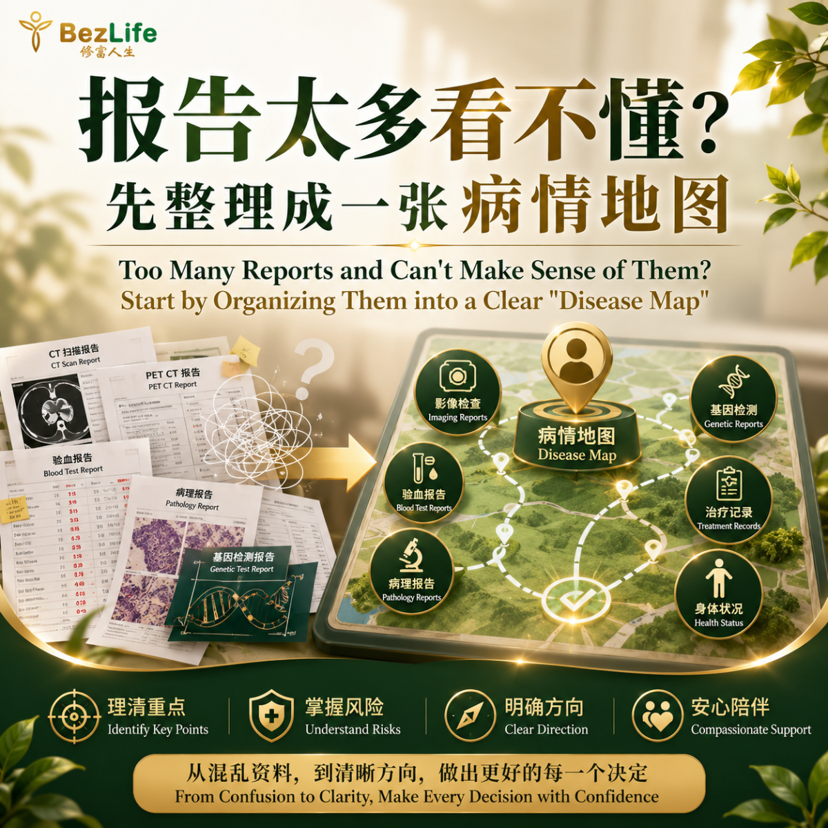 Too Many Reports and Can't Make Sense of Them? Start by Organizing Them into a Clear "Disease Map"