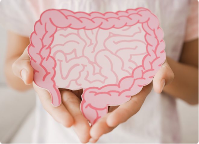 Stop Buying Probiotics Blindly! How Smart Testing Customizes Your Gut "Health Blueprint"