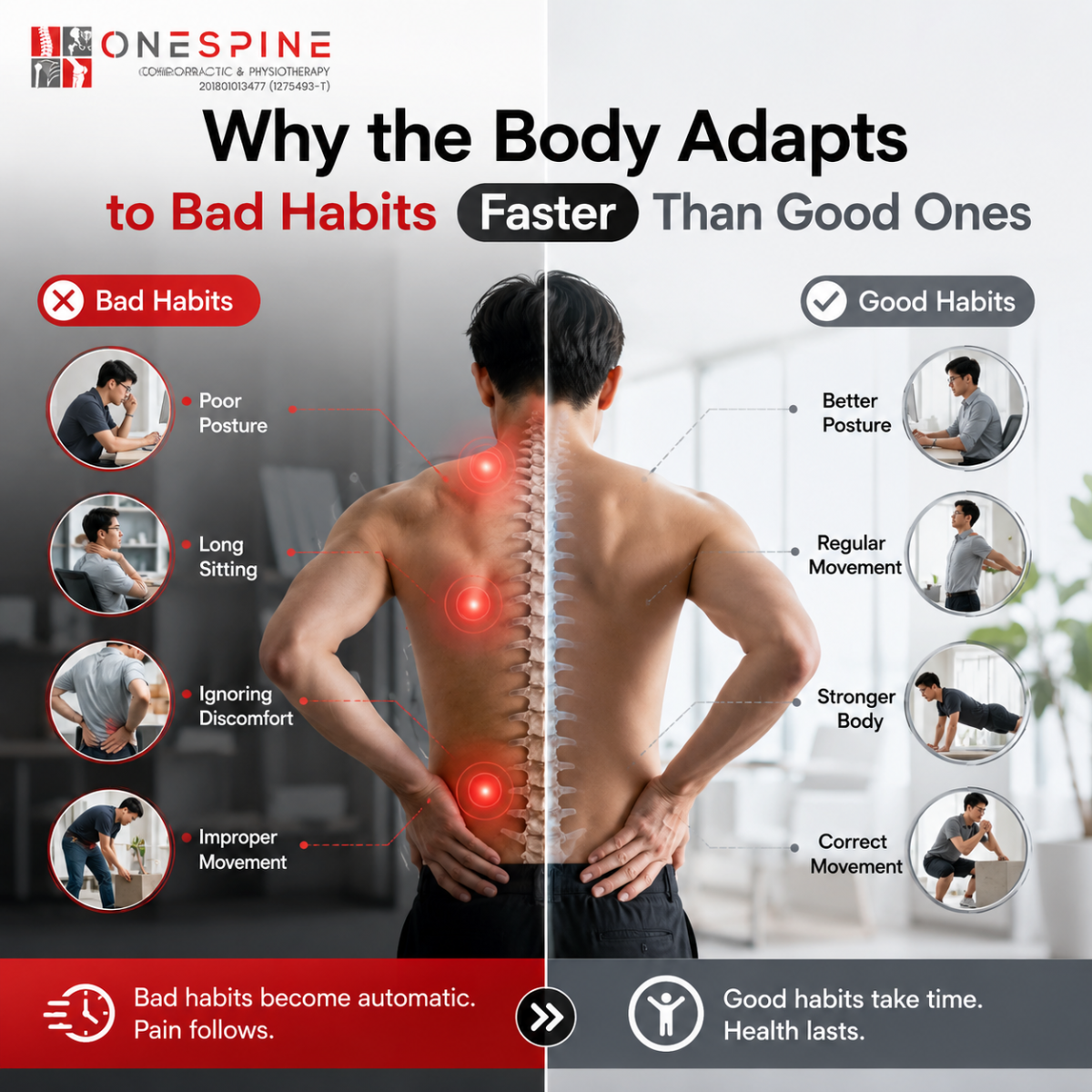 Why the Body Adapts to Bad Habits Faster Than Good Ones