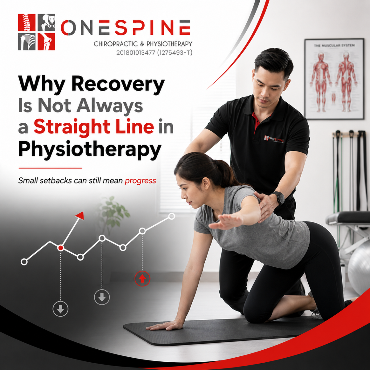 Why Recovery Is Not Always a Straight Line in Physiotherapy