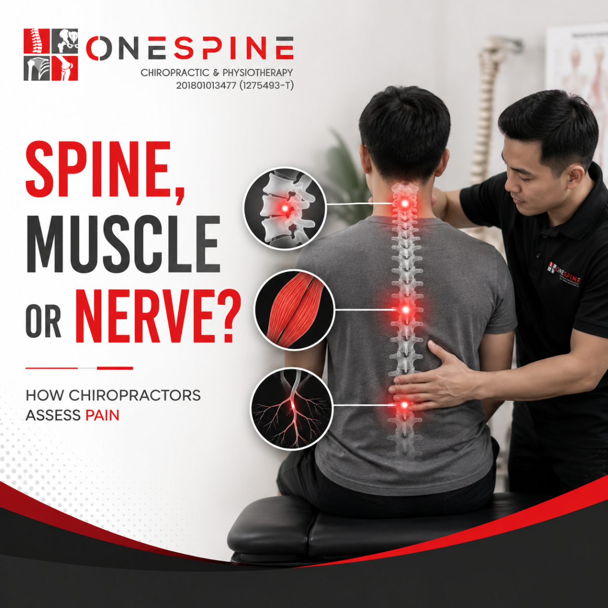 How Chiropractors Assess Spine, Muscle or Nerve Pain in PJ & KL