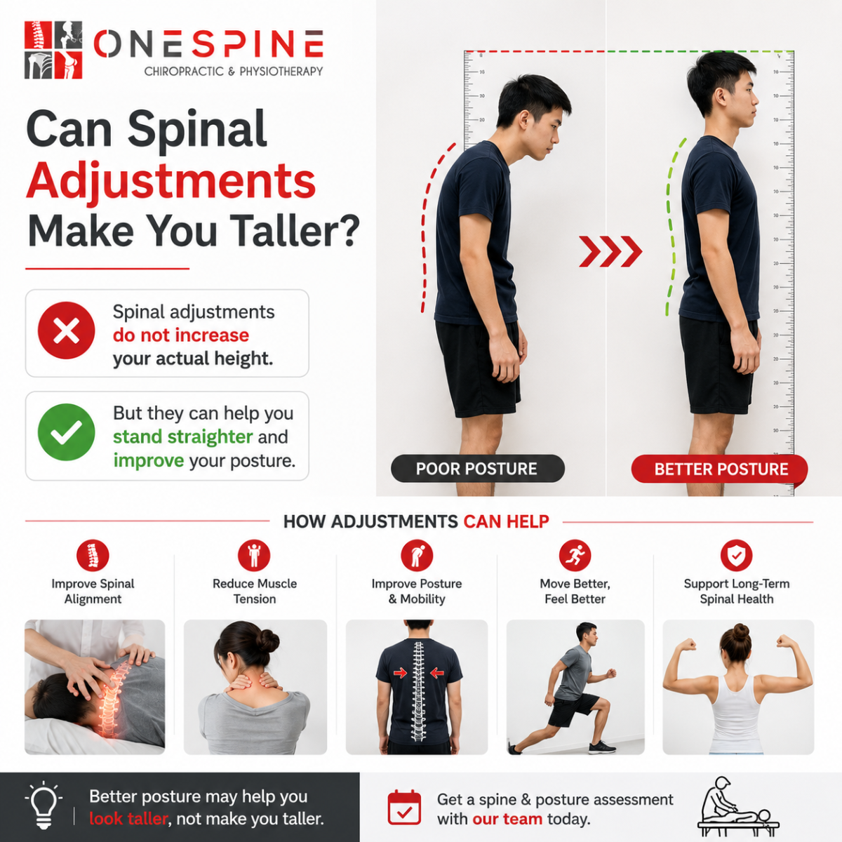 Can Spinal Adjustments Make You Taller? 