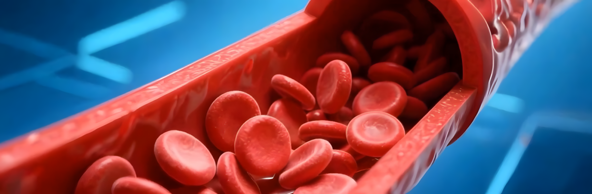 Is "Blood Waste" The Hidden Reason You're Always Tired? Here��s How to Reset Your Circulation