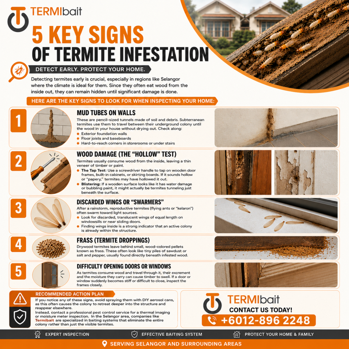 5 Warning Signs of Termite Infestation: How to Spot Them Early (Klang Valley, Ipoh, Penang & Johor)