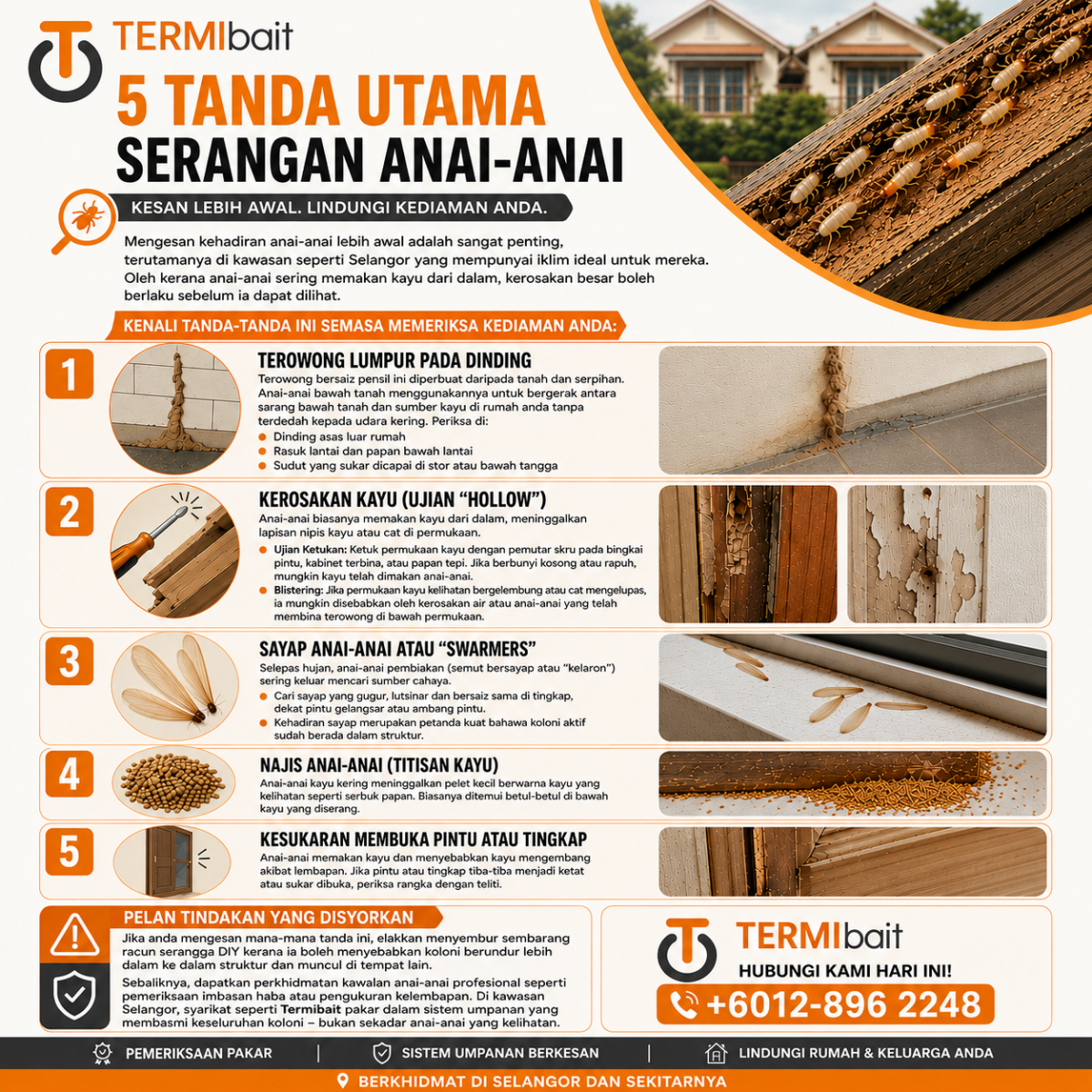Adakah Rumah Anda Selamat? Kenali 5 Tanda Utama Serangan Anai-anai Sebelum Terlambat!